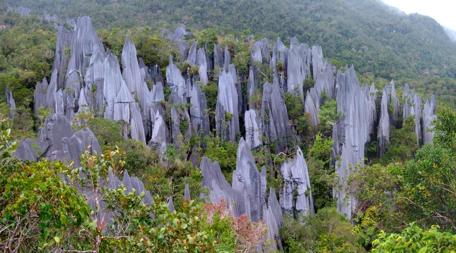 Gunung Mulu National Park - World Heritage Sites in Malaysia