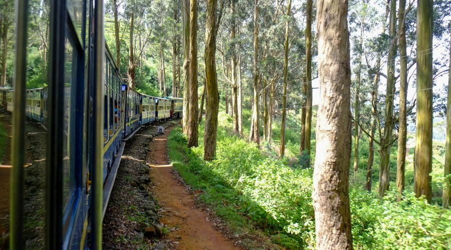 Nilgiri Mountain Railway - World Heritage Mountain Railways in India