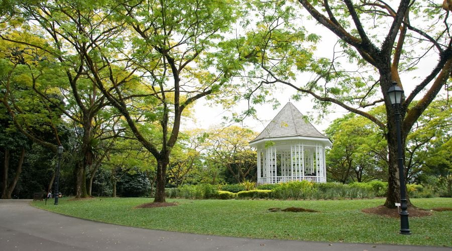 Singapore Tropical Garden - World Heritage Site in Singapore